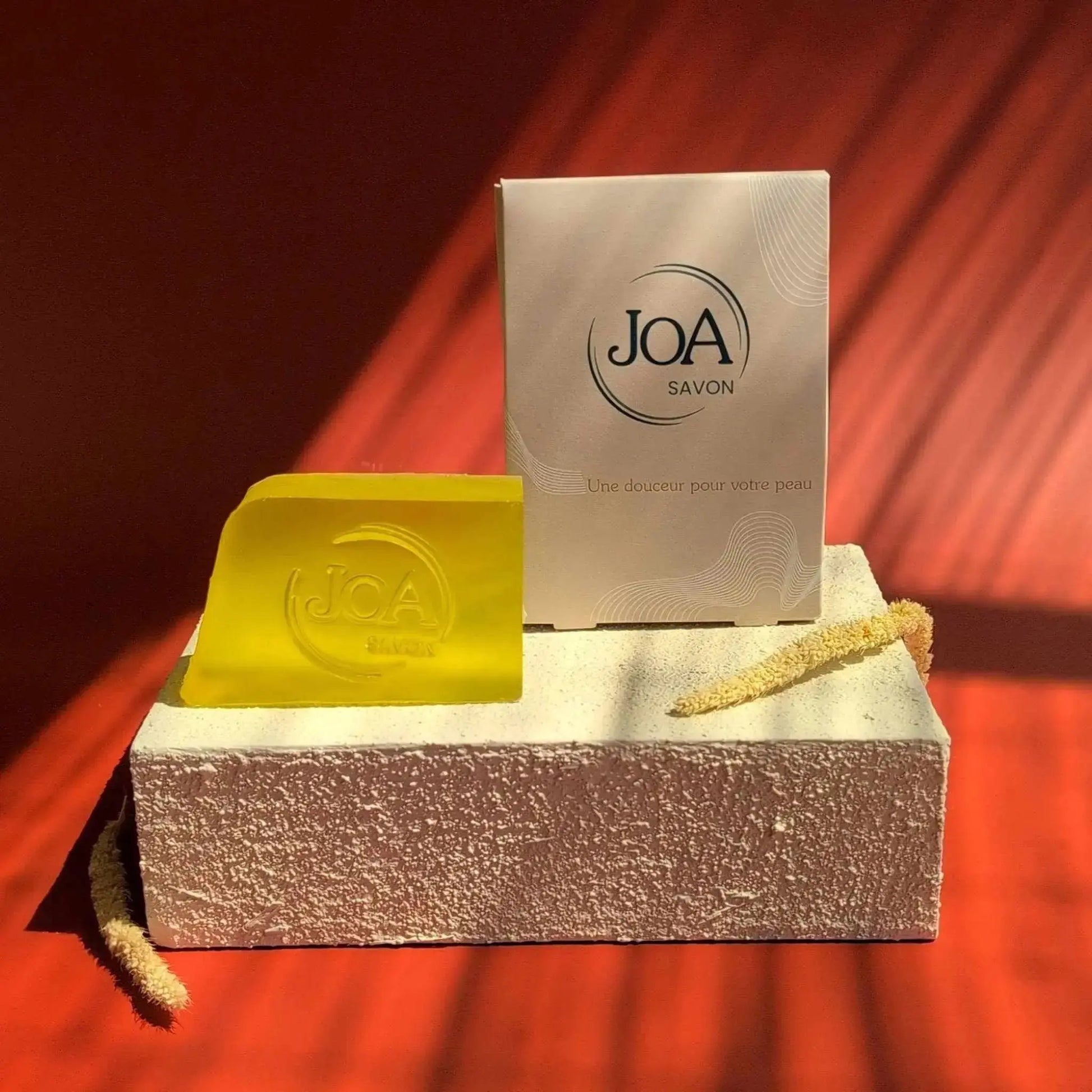 Savon-Mangue Joa Savon