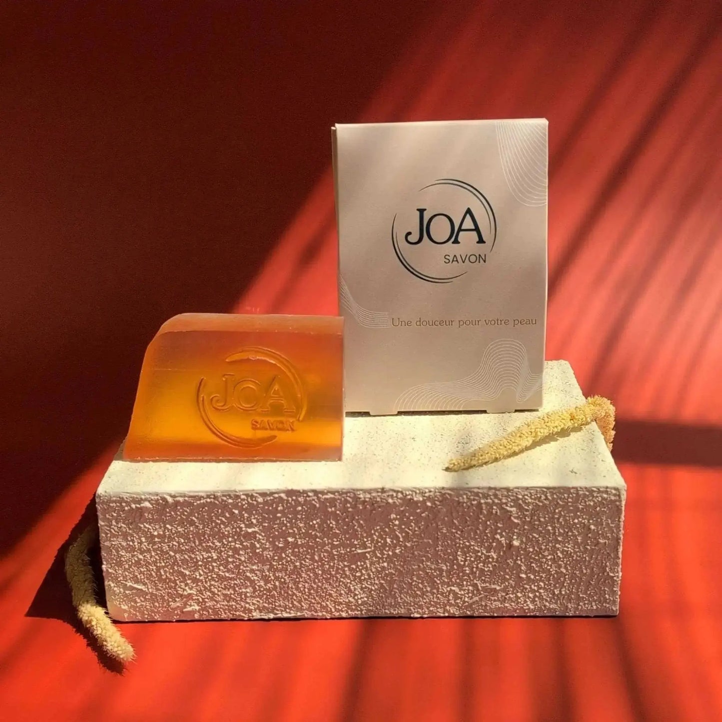 Savon-Muxu Joa Savon