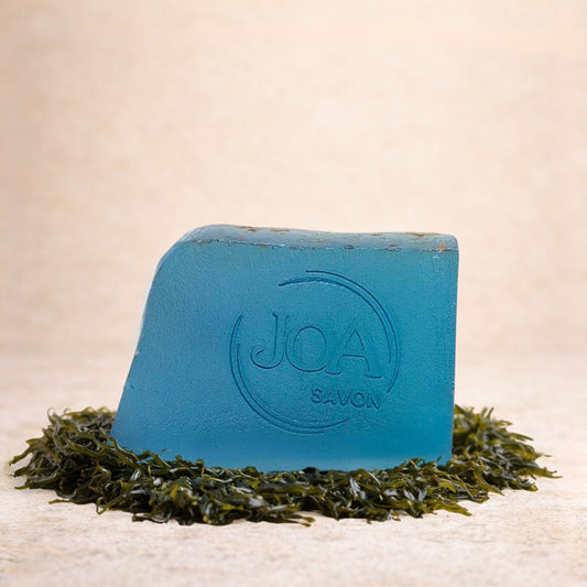 Savon Algues Joa Savon entouré d’algues marines dans une ambiance naturelle et apaisante