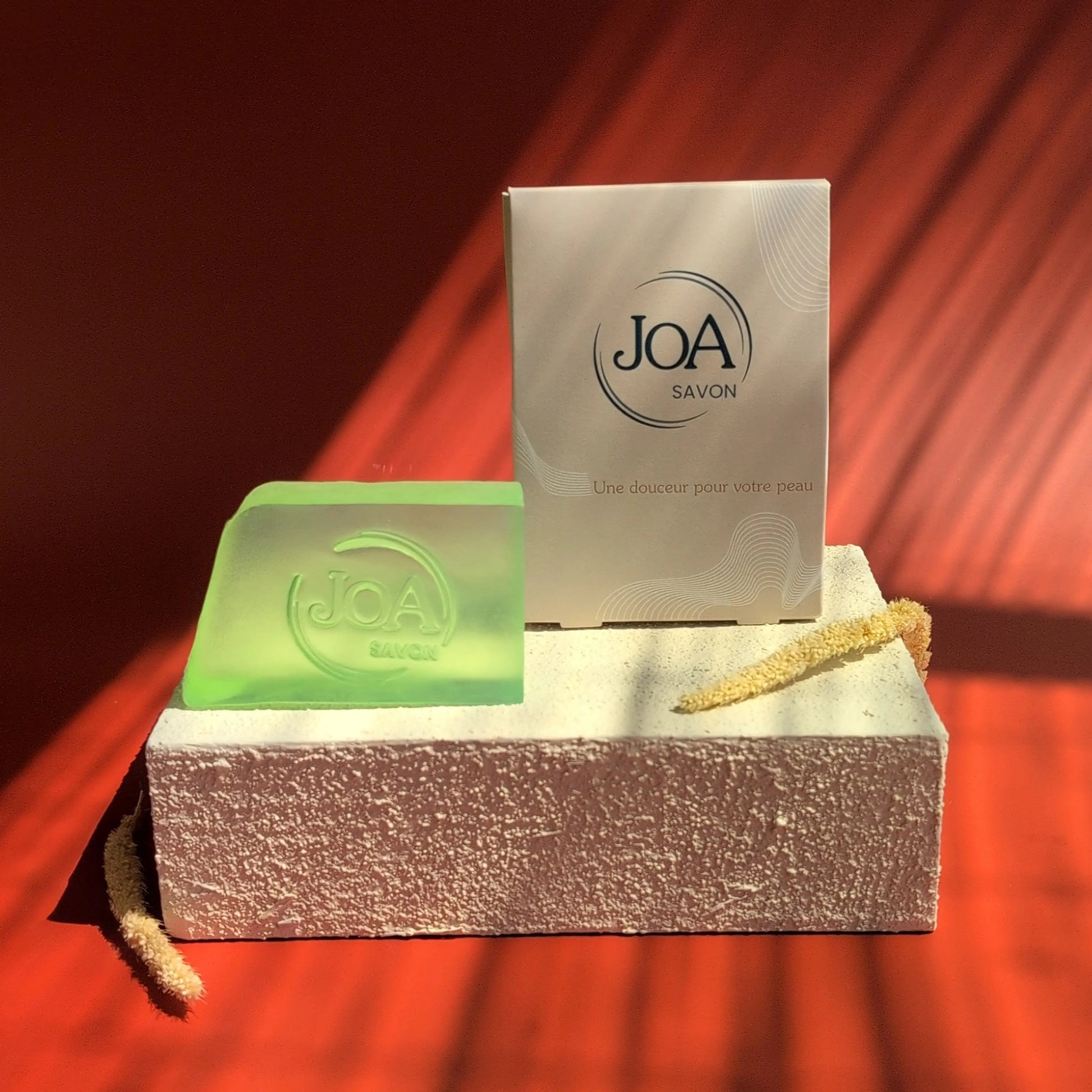 Concombre Joa Savon